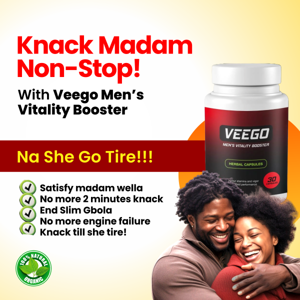 VEEGO FLYER 3 (2)