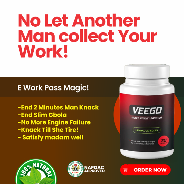 VEEGO FLYER 8 (2)